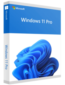 Pro ventanas 11